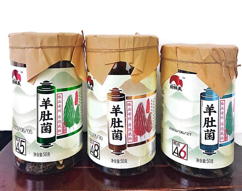 &#19990;&#30028;&#26479;&#24179;&#21488;&#45;&#19990;&#30028;&#26479;&#40;&#20013;&#22269;&#41;&#19968;&#31449;&#24335;&#26381;&#21153;&#24179;&#21488;